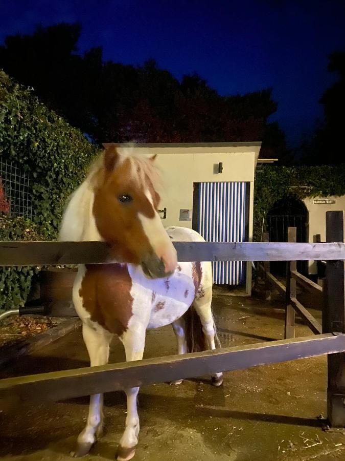 The Stable Annexe & Spa Dogdyke Bagian luar foto
