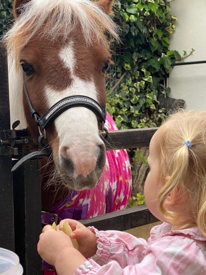 The Stable Annexe & Spa Dogdyke Bagian luar foto