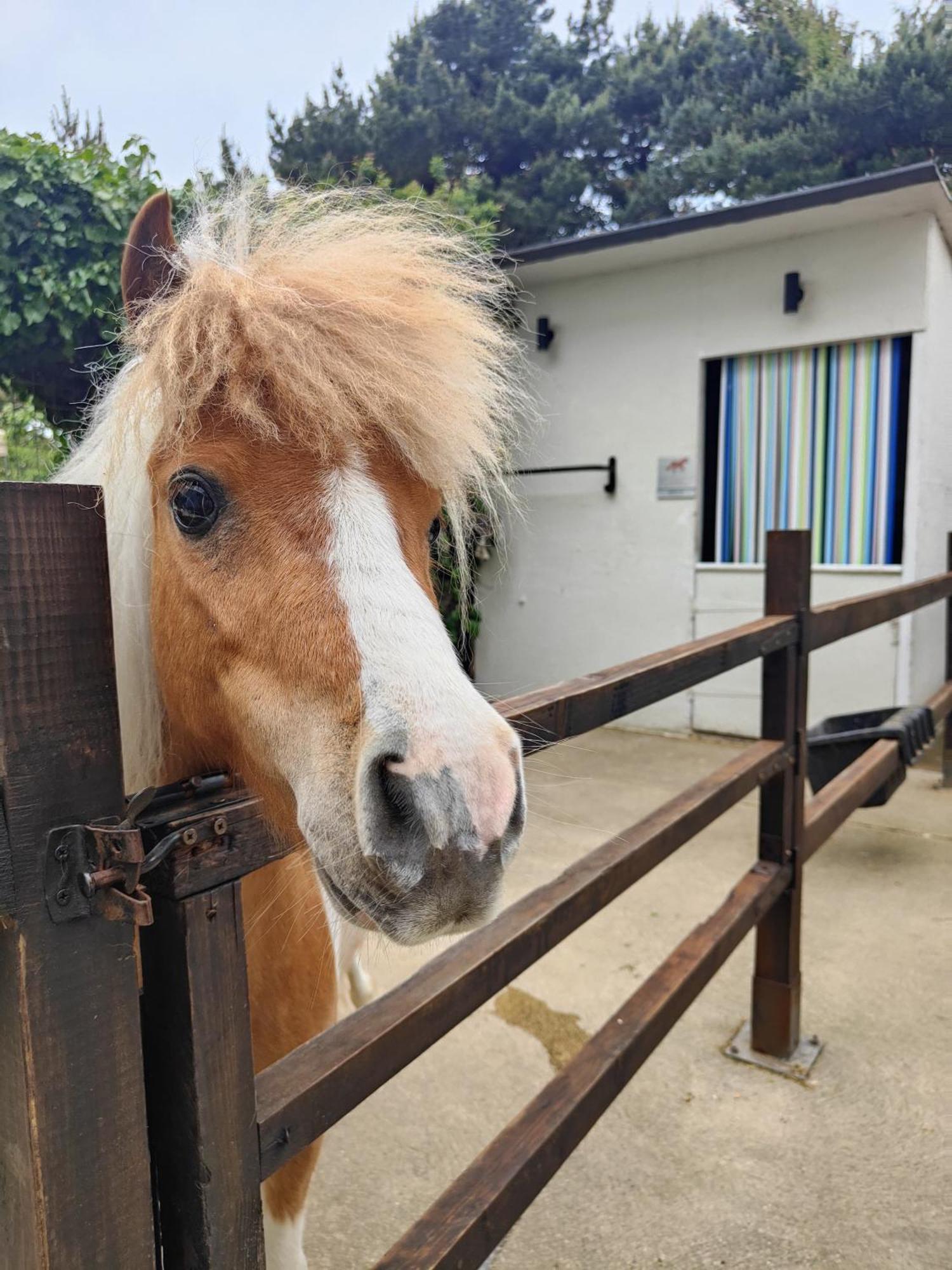 The Stable Annexe & Spa Dogdyke Bagian luar foto